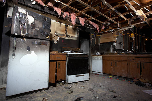 Affordable Fire Damage Repair solutions in Le Center, MN